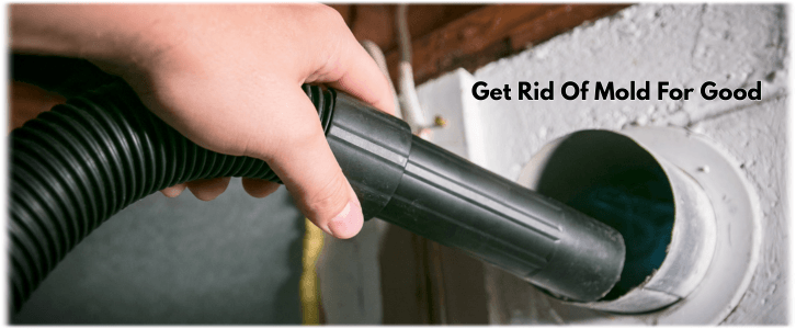 Air Duct Mold Removal in Sugar Land